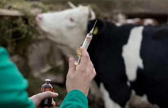 中國獸醫藥品監察所公開征求《獸用生物制品變更注冊復核檢驗指導原則（征求意見稿）》意見