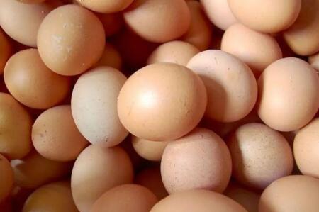 蛋價觸底反彈 淡季就此結束？