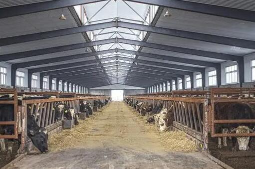 中國獸醫藥品監察所舉辦獸藥殘留檢測技術培訓班