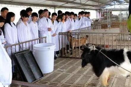 四川省做好2023年度獸用抗菌藥使用減量化行動工作