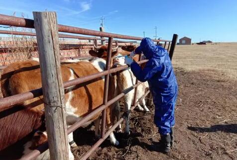 全國獸醫實驗室生物安全與能力建設工作研討會順利召開