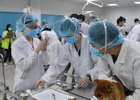 中國獸醫協會與西藏自治區農業農村廳聯合舉辦2023年度西藏自治區重點人獸共患病防控會議