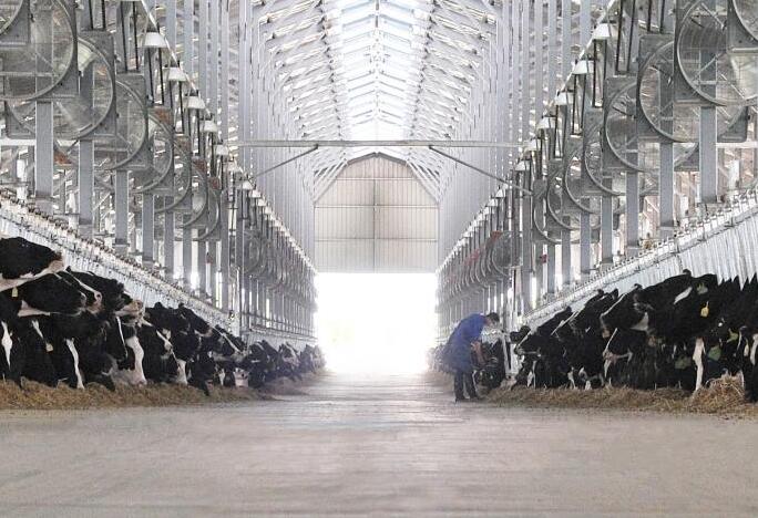 山東得益乳業股份有限公司招聘獸醫主管