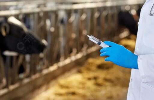 中國獸醫藥品監察所公布《獸藥比對試驗要求修訂內容征求意見稿》