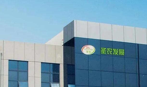 肉雞收入最高上升138.94%！福建圣農、廣東溫氏、寧夏曉鳴、山東益生、江蘇立華、山東民和、山東仙壇等11月肉雞銷售情況