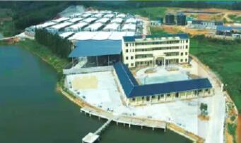 江西雪山牧業招聘人資總監、技術員、育肥/產房/配懷飼養員