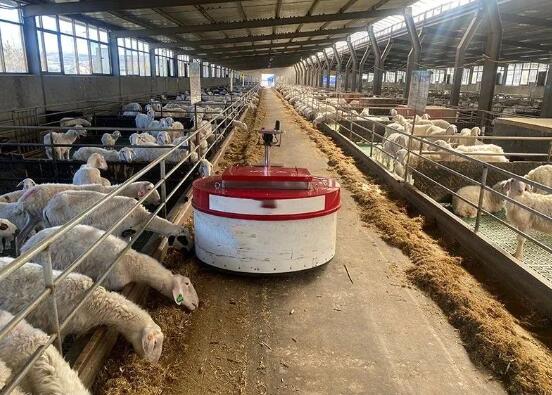 先后投資2.3億元，探訪甘南州最大湖羊養(yǎng)殖基地……