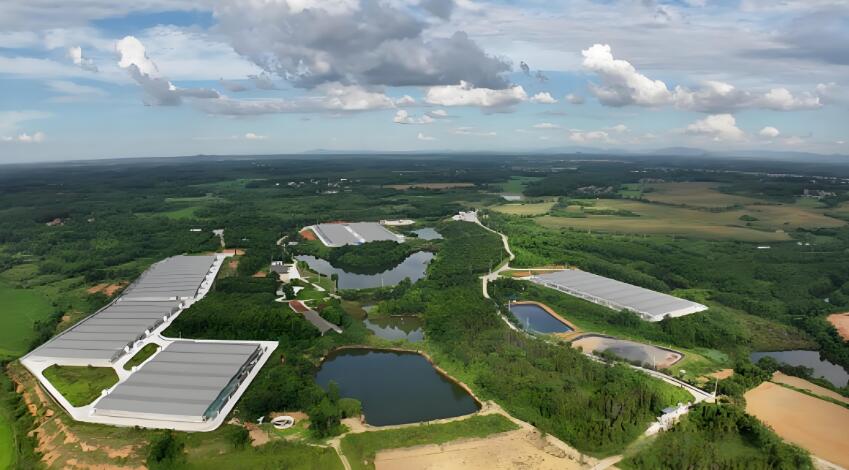 武漢金龍畜禽誠聘生產(chǎn)飼養(yǎng)員/技術(shù)員/主管（配懷、產(chǎn)房、保育育肥）